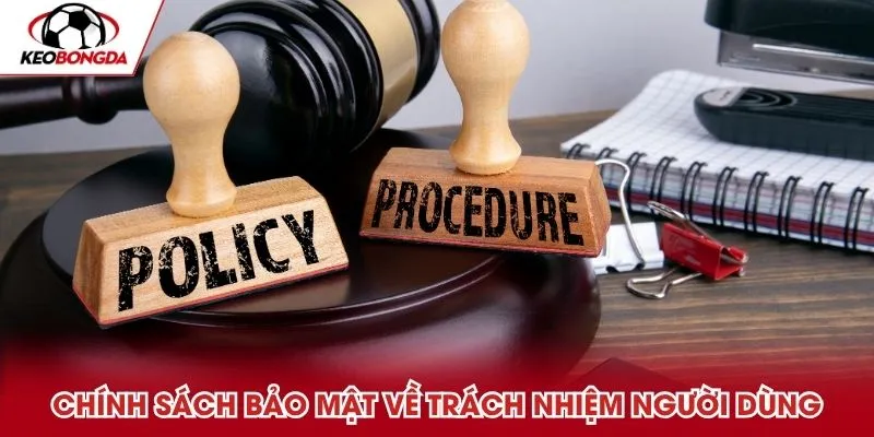 Chính sách bảo mật về trách nhiệm người dùng