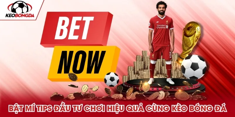 Bật mí tips đầu tư chơi hiệu quả cùng Kèo Bóng Đá