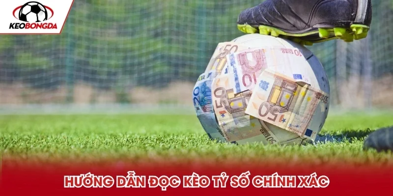 Hướng dẫn đọc chính xác dành cho người mới