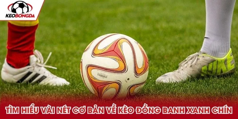 Tìm hiểu vài nét cơ bản về kèo đồng banh xanh chín