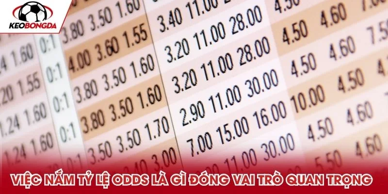 Việc nắm tỷ lệ odds là gì đóng vai trò quan trọng