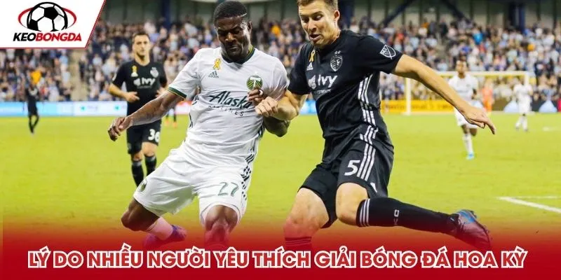 Lý do nhiều người yêu thích giải bóng đá Hoa Kỳ