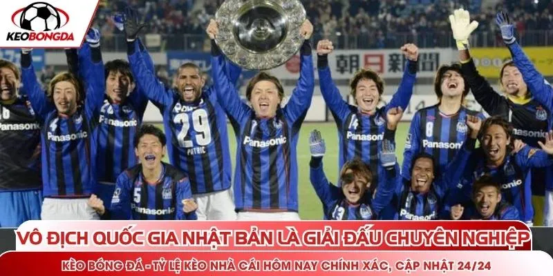 Vô địch quốc gia Nhật Bản là giải đấu chuyên nghiệp