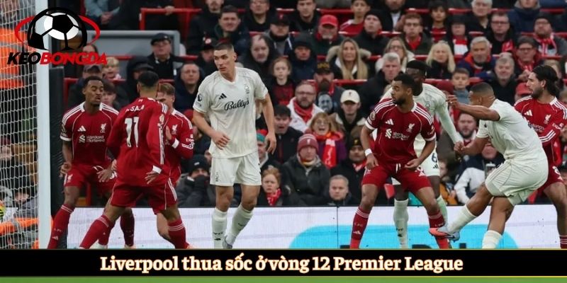 Liverpool thua sốc ở vòng 12 Premier League